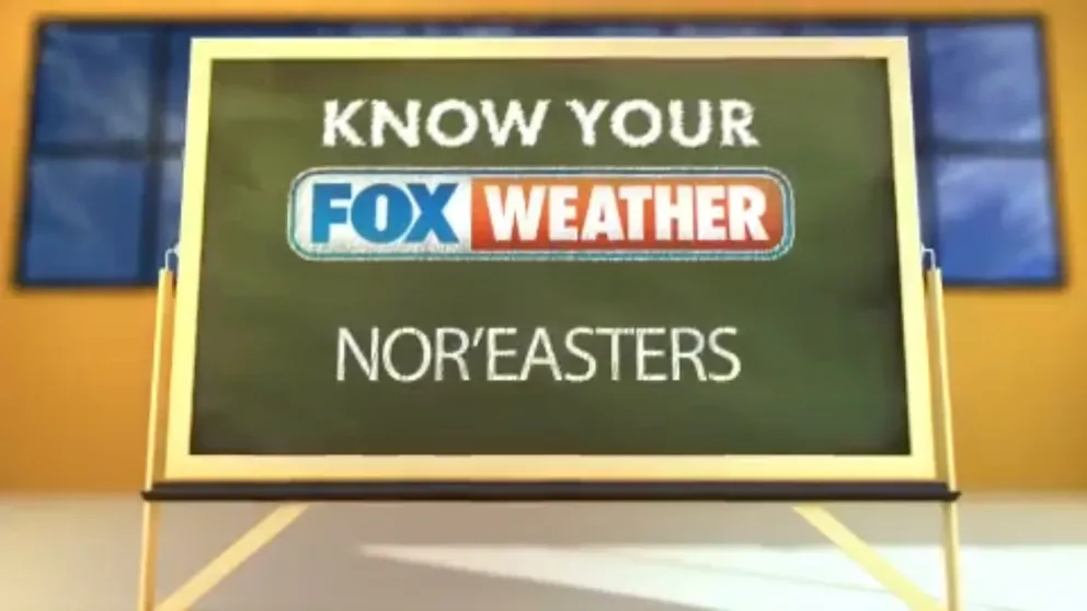 FOX Weather Meteorologist Britta Merwin explains what makes a storm a nor'easter.