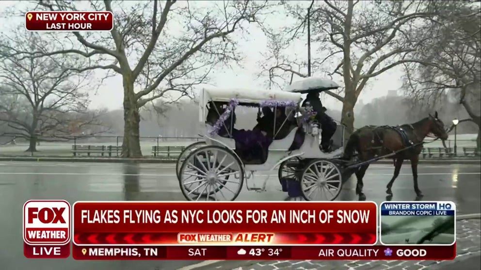 FOX Weather's Max Gorden reports on snow falling in New York City's Central Park as a nor'easter moves up the East Coast.