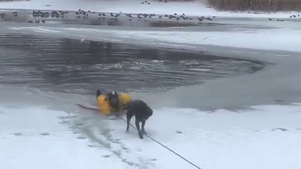 Firefighters with the North Davis Fire District in Utah rescued 'Bob the dog' after he took a swim and was unable to get out because of the ice shelf. 