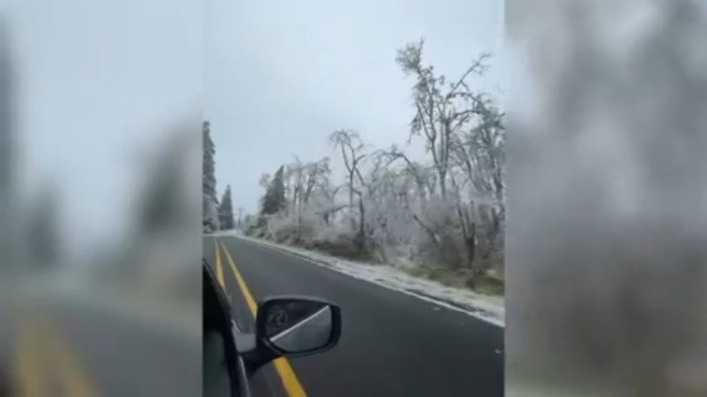 Thick ice accretions from back-to-back winter storms in Oregon left widespread damage in Springfield, Oregon. (Video courtesy: @tkranz23 via X)
