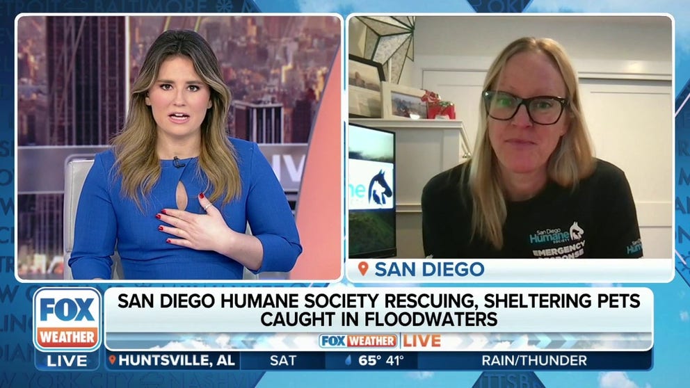 The recent flooding in San Diego was not only dangerous for people, but also for animals. The San Diego Humane Society has been working hard all week to rescue and shelter pets that were caught in the flooding. Nina Thompson, the public relations director of the San Diego Humane Society, joins FOX Weather to discuss their efforts.