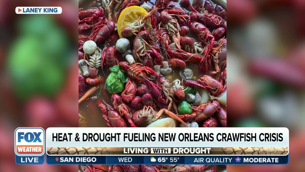 FOX Weather's Brandy Campbell hit New Orleans to order up crawfish and take a look into why prices are so high.