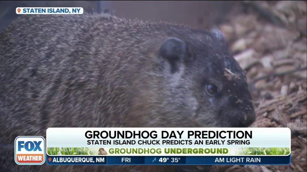 Yet another year has come and gone with folks growing weary of a cold and dreary winter, but here come the groundhogs with their annual glimmer of hope.
