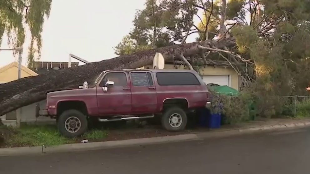 A tree fell on a home in the San Diego neighborhood of North Park early Friday morning.