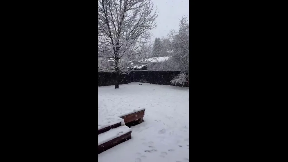 A video by Ann Griffin in Denver shows "big ol' fat snow" covering her backyard during a Winter Weather Advisory for the Denver metro area. (Video Credit: Ann Griffin via Storyful) 