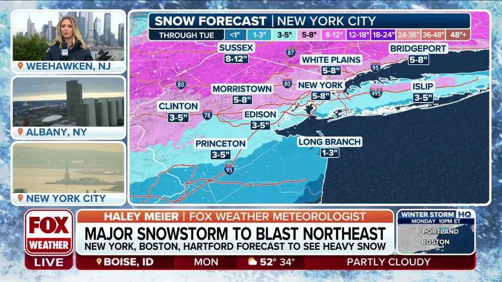 Up to 8 inches of snow forecast in New York City | Latest Weather Clips ...
