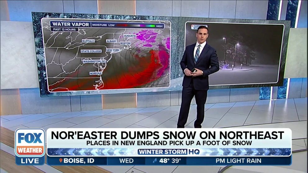 FOX Weather meteorologist Steve Bender provides a recap on the snow totals, power outages and other impacts of the recent nor'easter across the Northeast. Feb. 13, 2024.
