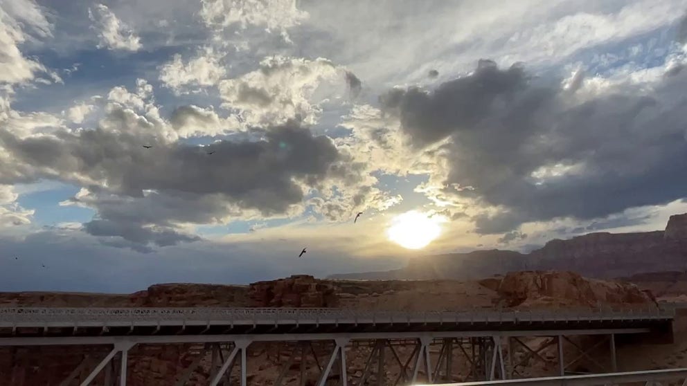 Video provided by The Peregrine Fund show California condors flying high above Navajo Bridge in Arizona.