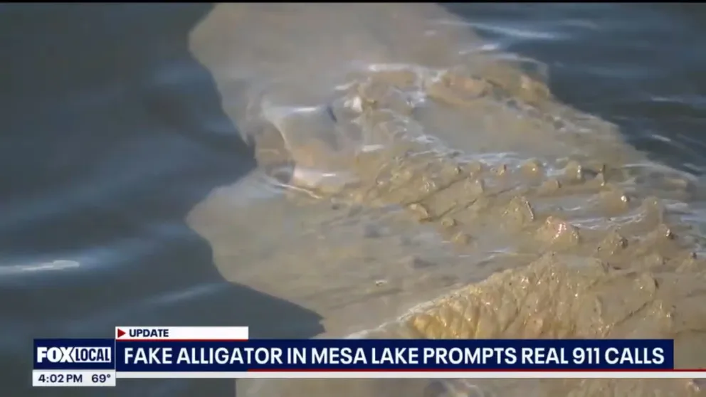 A fake alligator that was placed by Mesa parks officials in the lake at Riverview Park was meant to help birds, but it also managed to catch the attention of others, and even sparked some 911 calls.