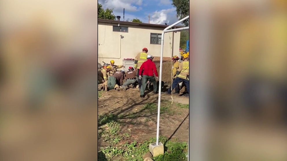 Firefighters rescued a lucky horse that had been swallowed by a sinkhole in the backyard of a Los Angeles home on Wednesday.