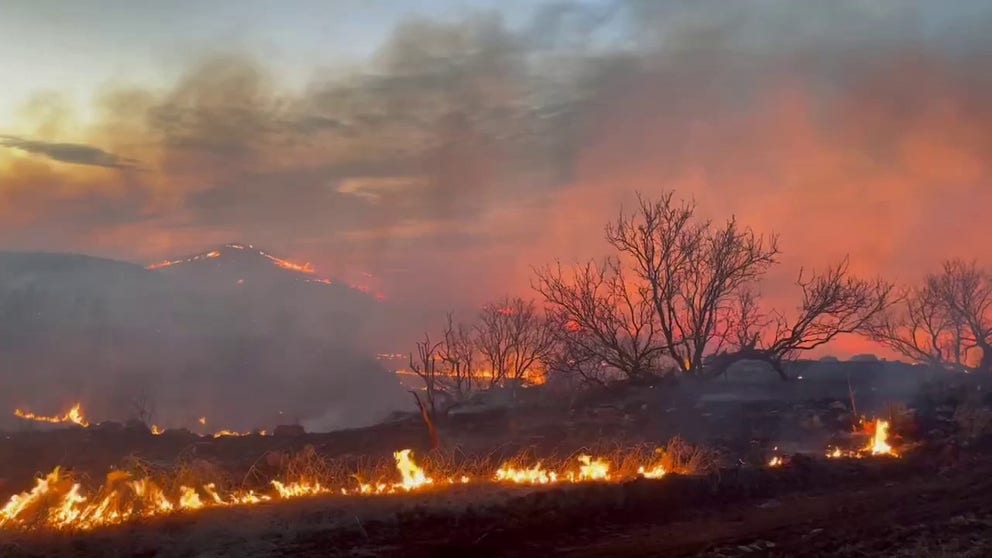 Video from the Texas A&M Forest Service shows flames from the brush fire in the Texas Panhandle over the weekend. Fueled by winds and dry weather the fire exploded in size to 4,000 acres.  (Video credit: Texas A&M Forest Service via Storyful)
