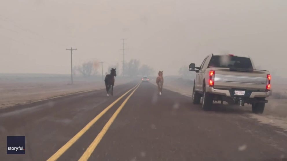 Horses were seen running alongside cars on a highway in Wheeler, Texas, on Tuesday, as out-of-control fires in the Texas Panhandle prompted evacuation calls in a number of areas.