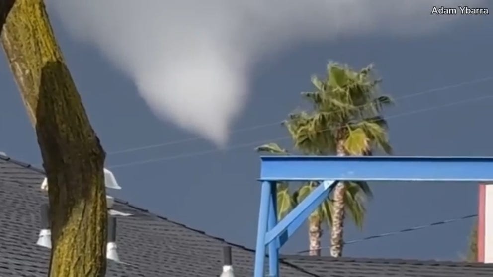 A blizzard-producing storm system spawned at least one tornado in Central California on Friday.