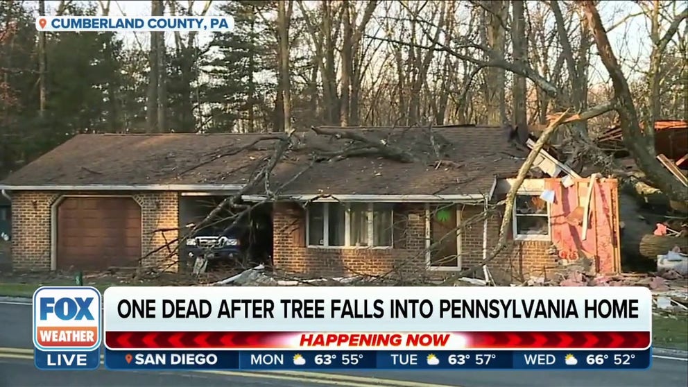 Man killed after tree falls onto Pennsylvania home amid high wind gusts ...