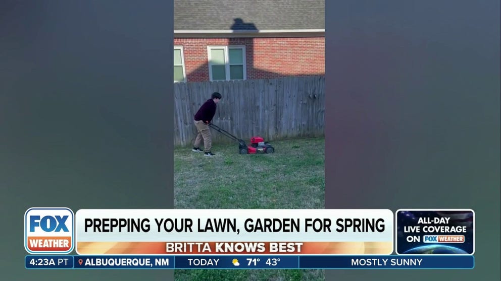 As the temperatures rise, it's time to start thinking about lawn care. FOX Weather Meteorologist Britta Merwin says an early leaf out is expected, meaning you'll need to start cleaning up your lawn and garden earlier than usual.