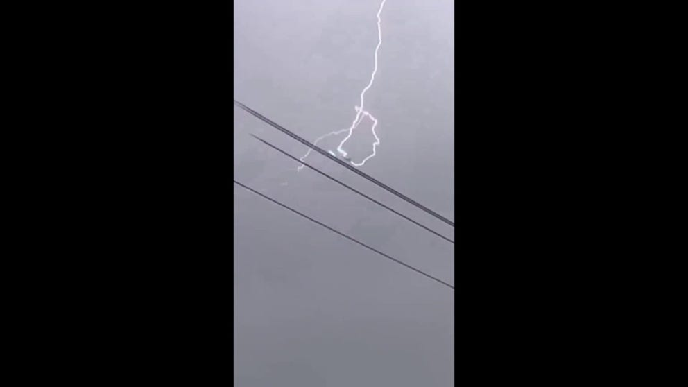 "Was filming lightning from a severe storm earlier around south San Jose along Monterey Rd and caught a plane struck by lightning! How lucky I was to capture this?" posted William Justo on X.