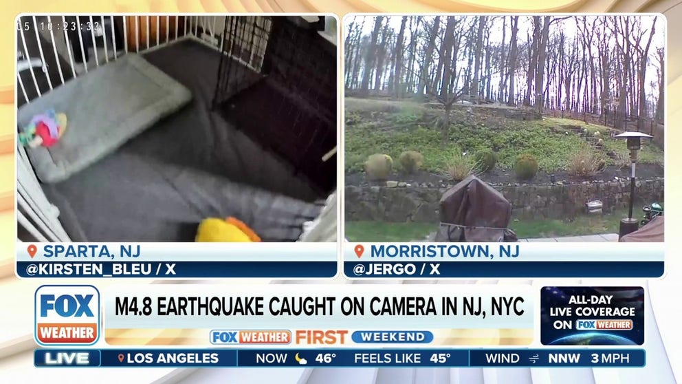 A moderate earthquake struck New Jersey Friday morning, with reports of shaking felt across New York City and much of the Northeast.