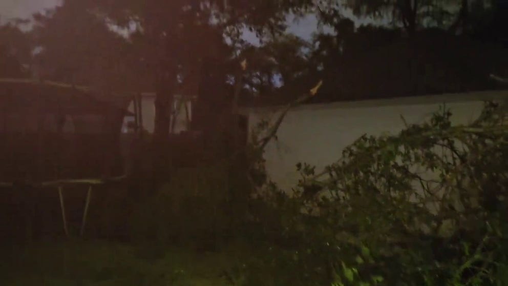 Powerful storms raced across East Texas on Wednesday morning, and video recorded in the city of Katy shows trees that were snapped after the storms rolled through.