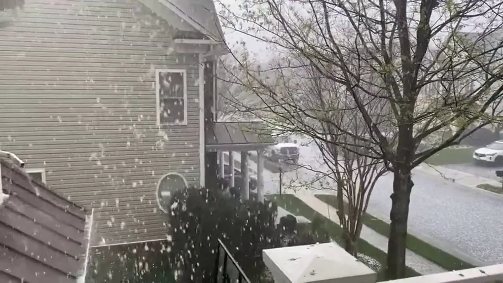 "Unbelievable hailstorm today," the homeowner posted on social media. It may look like snow but don't be fooled, the temperature was 81 degrees in Brambleton, Virginia.