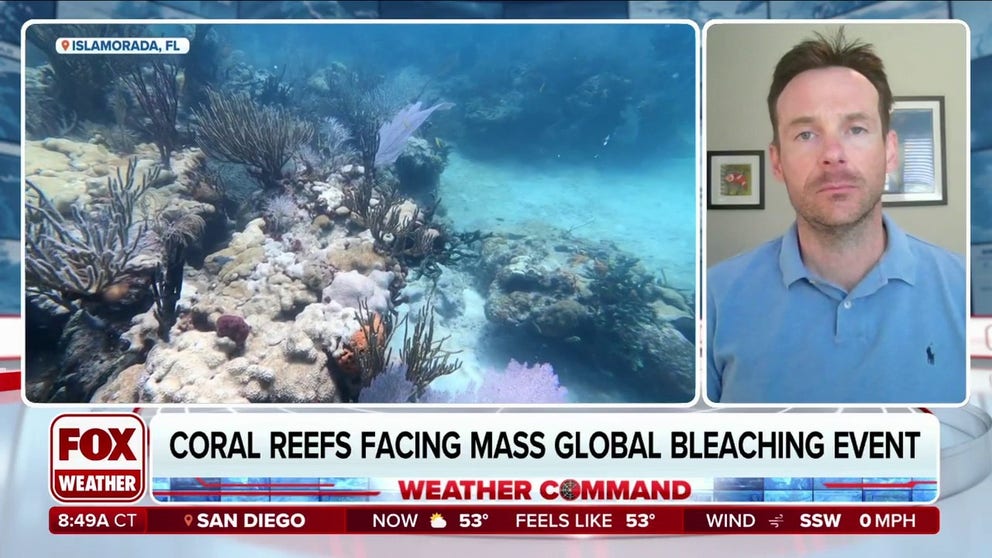 NOAA scientists confirmed this week a global coral bleaching event is underway. NOAA Coral Reef Watch Coordinator Derek Manzello joins FOX Weather to talk about the global bleaching event and why coral reef habitats are important to ocean ecosystems.