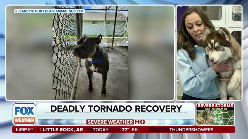The Jeanette Hunt Blair Animal Shelter in Nebraska is hosting dozens of pets displaced and injured during the recent tornado outbreak. Executive Director Jenny Eriksen said many animals will stay at the shelter until their families have a home to bring them back to after the tornado devastated entire neighborhoods.
