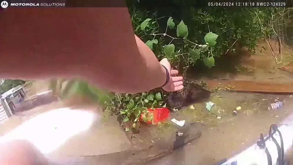 The Houston Police Department shared video of an officer who was able to rescue a man and three dogs who were stranded in `nearly 10 feet of water after days of relentless rain caused the San Jacinto River to overflow its banks near Lake Houston on Saturday.