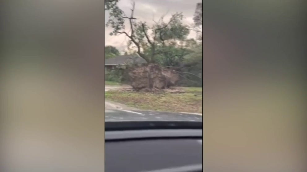 Deadly storms in Houston, Texas, uprooted trees that smashed through fences and downed power lines on Thursday. Footage recorded by Zack Thomas shows storm damage in the northwest of the city.