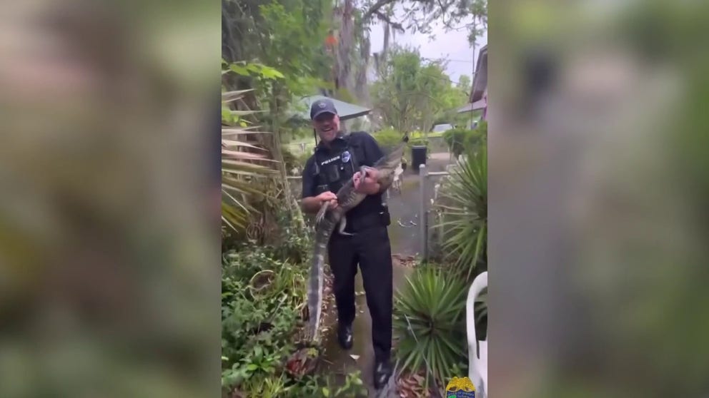 Officers with the Jacksonville Sheriff's Office removed an alligator from a 104-year-old woman's home.