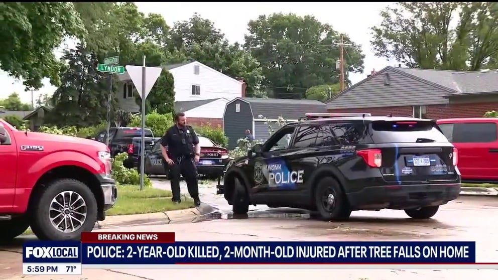 Severe weather outside of Detroit caused major damage to trees and homes on Wednesday. Local officials said a child was killed and at least one other family member was injured after a large tree fell during a tornado.