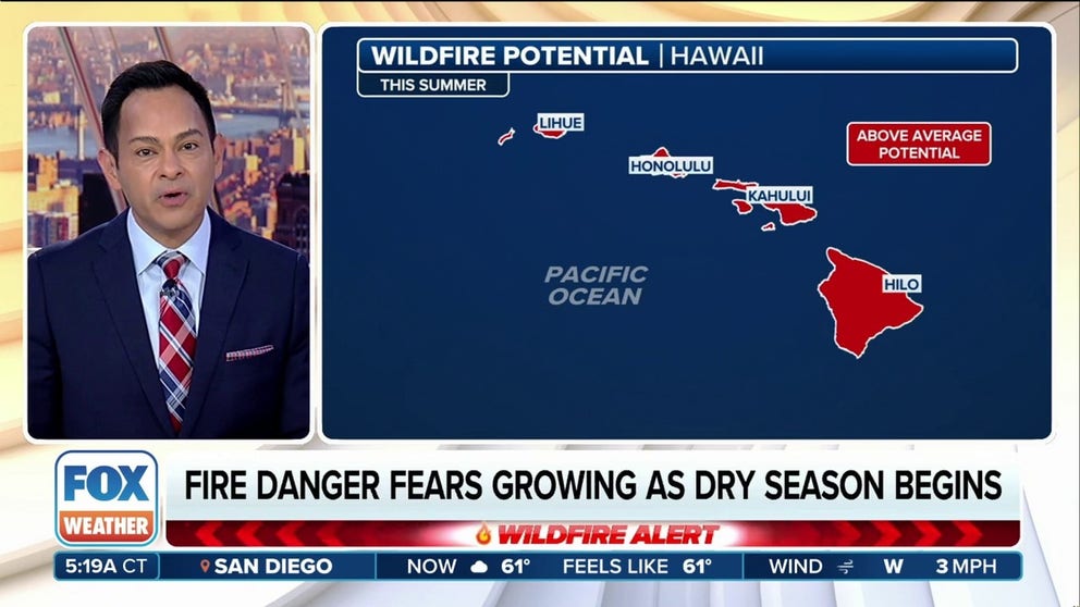 Hawaii could be facing another significant wildfire season, just a year after enduring the worst natural disaster in its history.