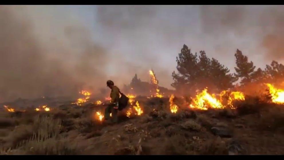Meet the hotshots, teams of firefighters that hike into wildfires and only fight flames with what they can carry.
