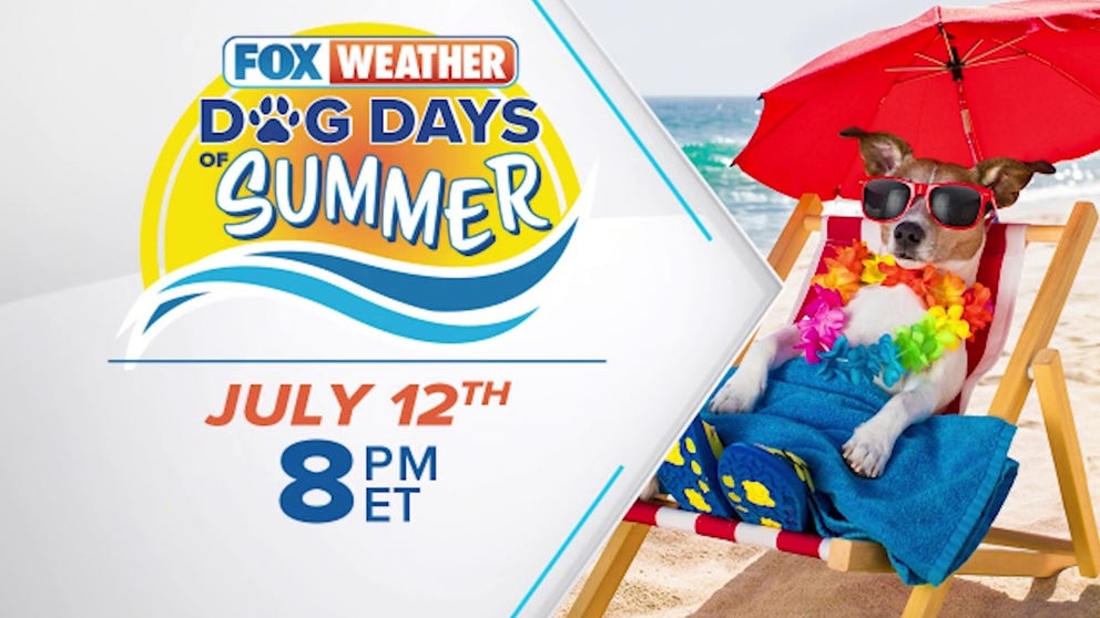 FOX Weather’s Craig Herrera is unleashing your guide for fun in the sun with your pets all summer long in the new FOX Weather special