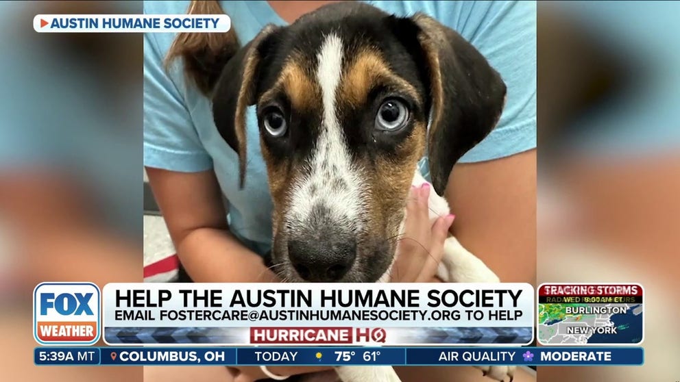 Dr. Katie Luke, a veterinarian and the chief operations officer for the Austin Humane Society, joins FOX Weather to talk about their efforts in supporting pets in distress following Hurricane Beryl.