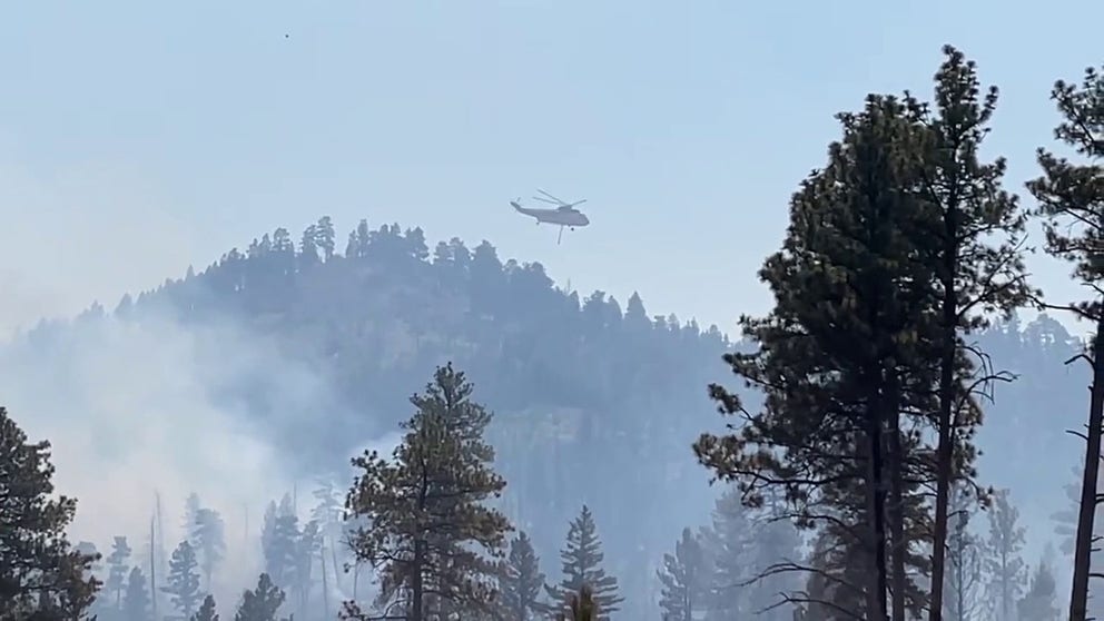 Horse Gulch Fire in Montana's Helena National Forest spans over 600 ...