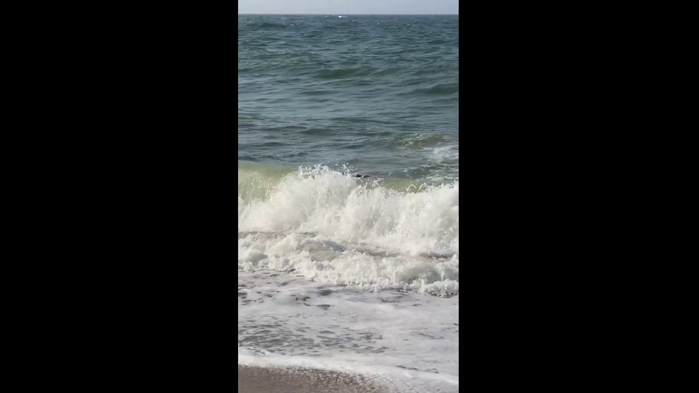 Video shows pieces of a Vineyard Wind turbine washing up on the south shore beaches of Nantucket.