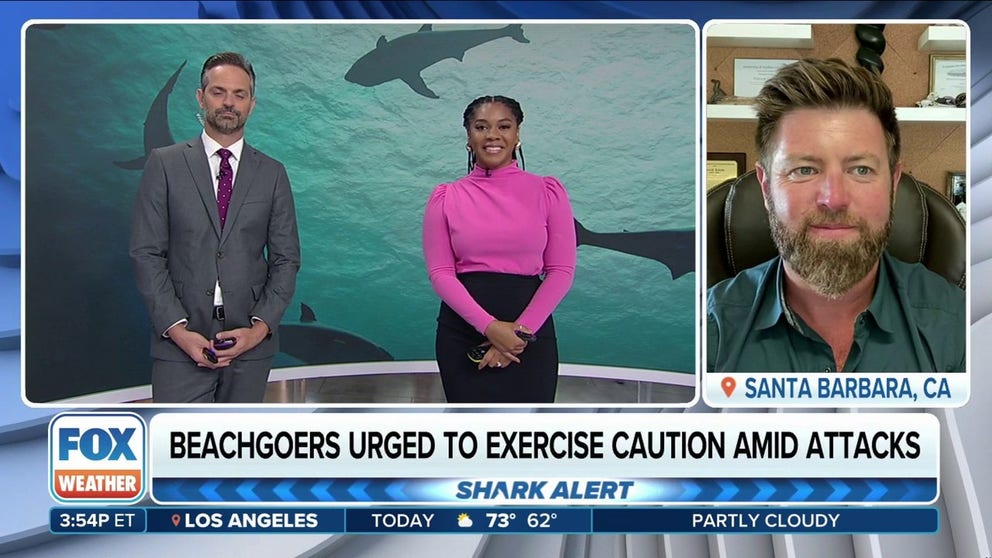 Wildlife expert and biologist Forrest Galante explains why we hear more negative shark encounters in the summer. According to Galante, warm ocean temperatures and more people in the water contribute to this.