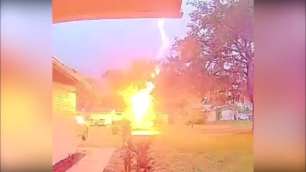 A video posted on Wednesday shows lightning hitting a tree merely a few feet away from a home in southwestern Florida.  (Courtesy: Dalton Rose)