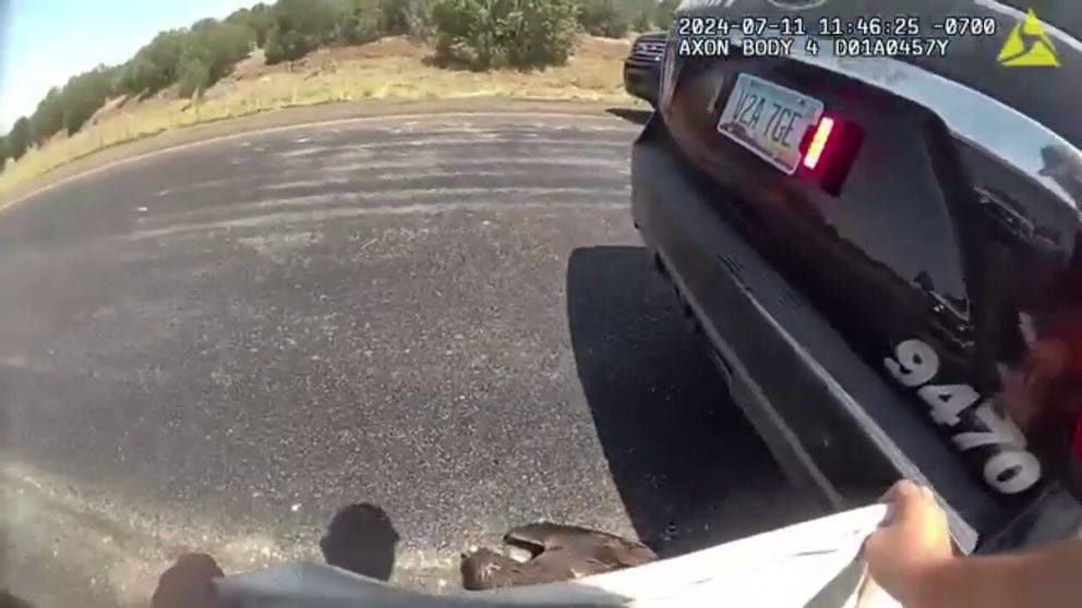 Bodycam footage shows a police officer rescuing the eagle, which landed under his vehicle and appeared to be in distress. (Courtesy: Mohave County Sheriff’s Office)