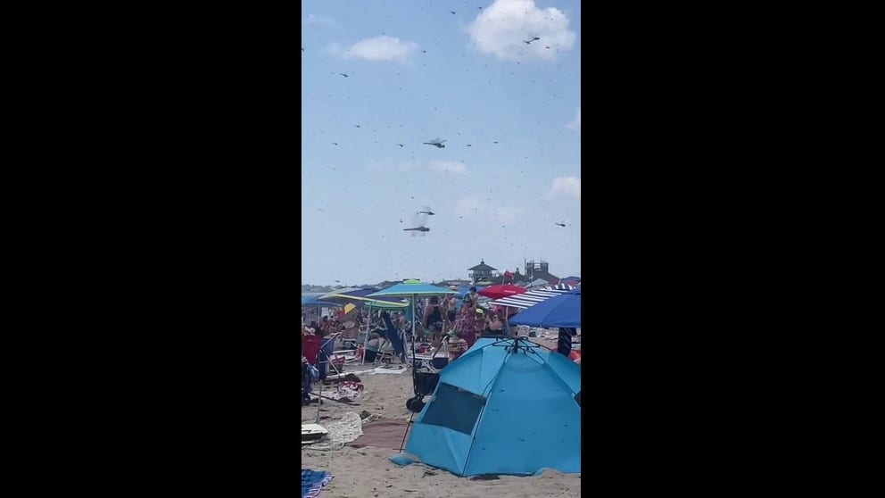 Beachgoers were in for quite the surprise as a swarm of dragonflies invaded their beach day in Rhode Island on Saturday. (Video courtesy of Michael Grover)