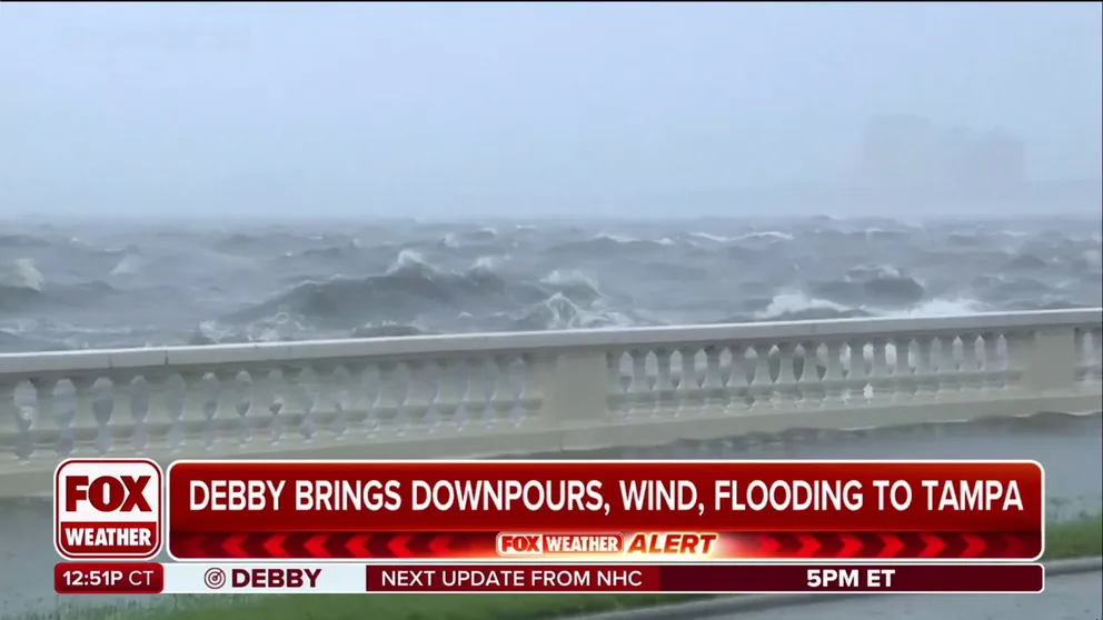 Tampa Mayor Jane Castor joined FOX weather on Monday to explain how the city is dealing with the deadly impacts of Tropical Storm Debby after the then-hurricane made landfall to the north along the Big Bend early Monday morning.