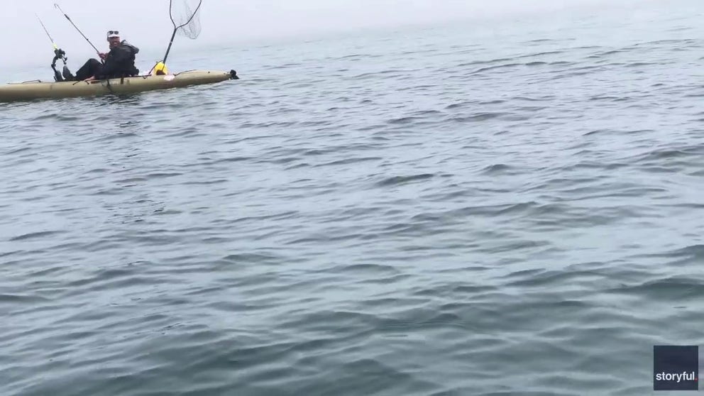 Video shot on Aug. 6 shows a kayaker being followed by a curious shark off the coast of Half Moon Bay, California. (Courtesy: Ian Walters via Storyful)