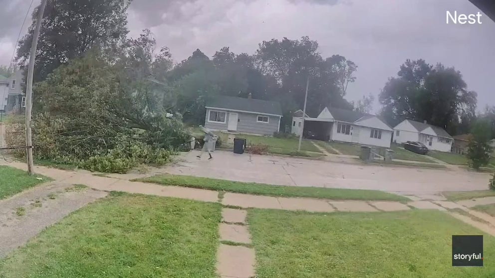 A dramatic video shows the moment a tree fell during severe weather in Wisconsin on Tuesday, narrowly missing a bicyclist while a pedestrian rushed over to help.