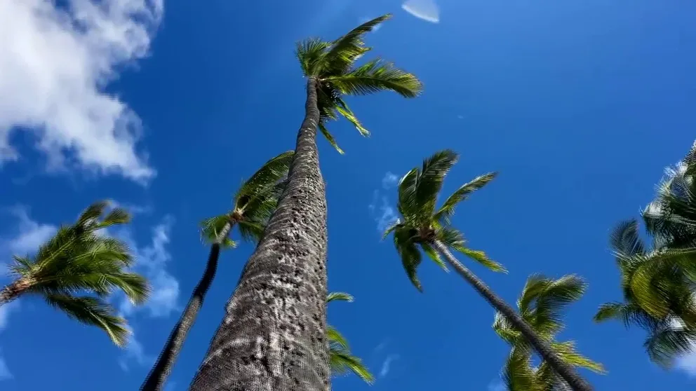 Over the past several weeks, magma moving close to the surface has been cracking the ground and generating thousands of small earthquakes. FOX Weather Correspondent Robert Ray reports from Mount Kilauea on the Big Island of Hawaii.