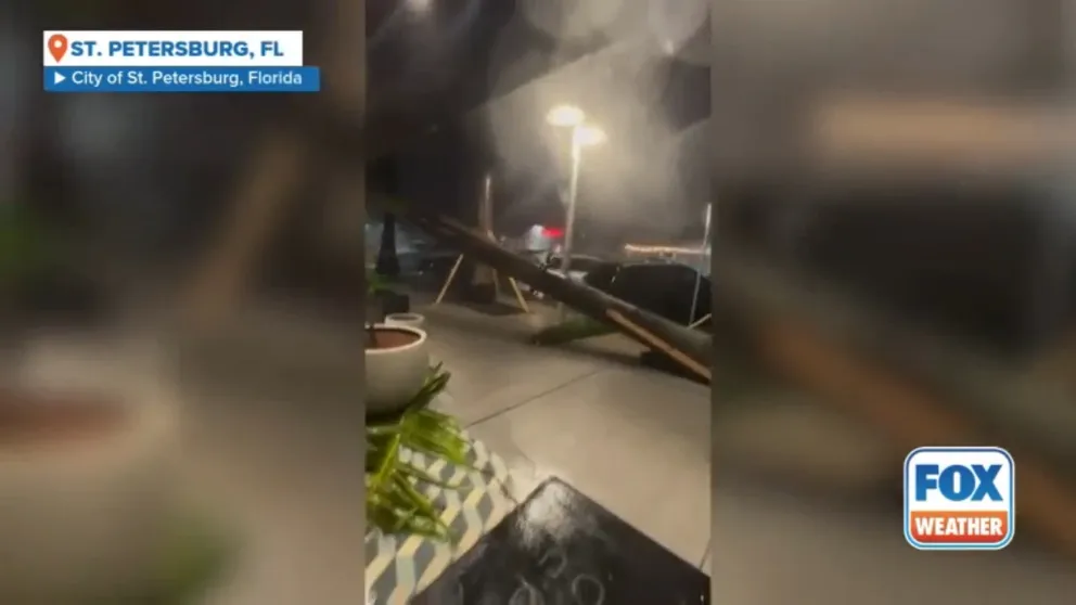 A palm tree was toppled in St. Petersburg, Florida, as Hurricane Milton hit the area on Thursday. Footage posted by the City of St. Petersburg shows the tree lifting out of the ground outside the Moxy Hotel.