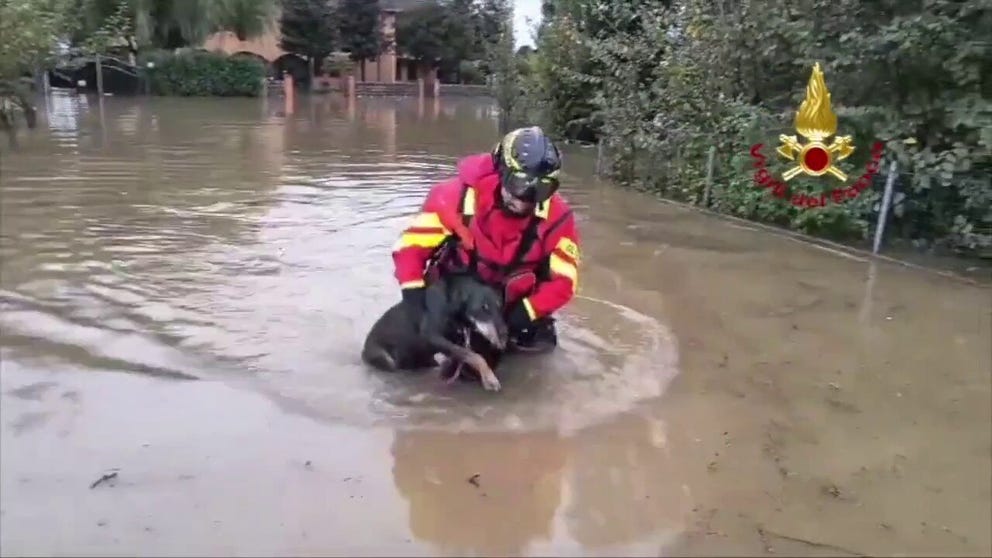 Video of flooding in Campegine shows two dogs that were stuck in an animal shelter and saved by Italy's fire and rescue service, Vigili del Fuoco on Sunday. 