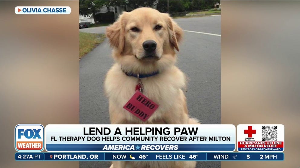 Ben, a retired therapy dog, lent a helping paw to his community in Vero Beach, Florida, after so many people lost their homes during Hurricane Milton. 