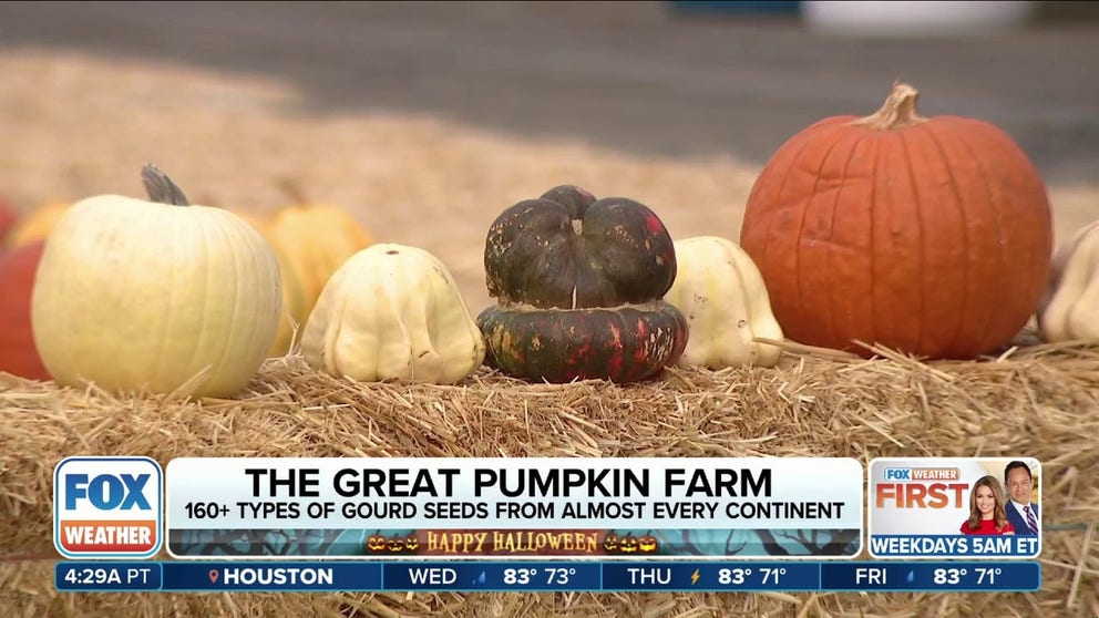 An Illinois farmer shares his story of how pumpkins helped his family farm survive drought and other major weather challenges.