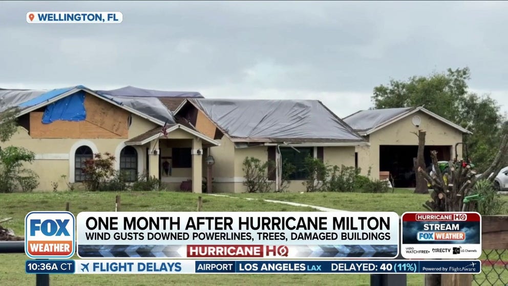 One month after Hurricane Milton spawned tornadoes across South Florida and made landfall on the Gulf Coast, residents are continuing to make repairs and recover. An EF-3 tornado caused widespread damages in Wellington, Florida where FOX Weather's Brandy Campbell reports on recovery efforts.