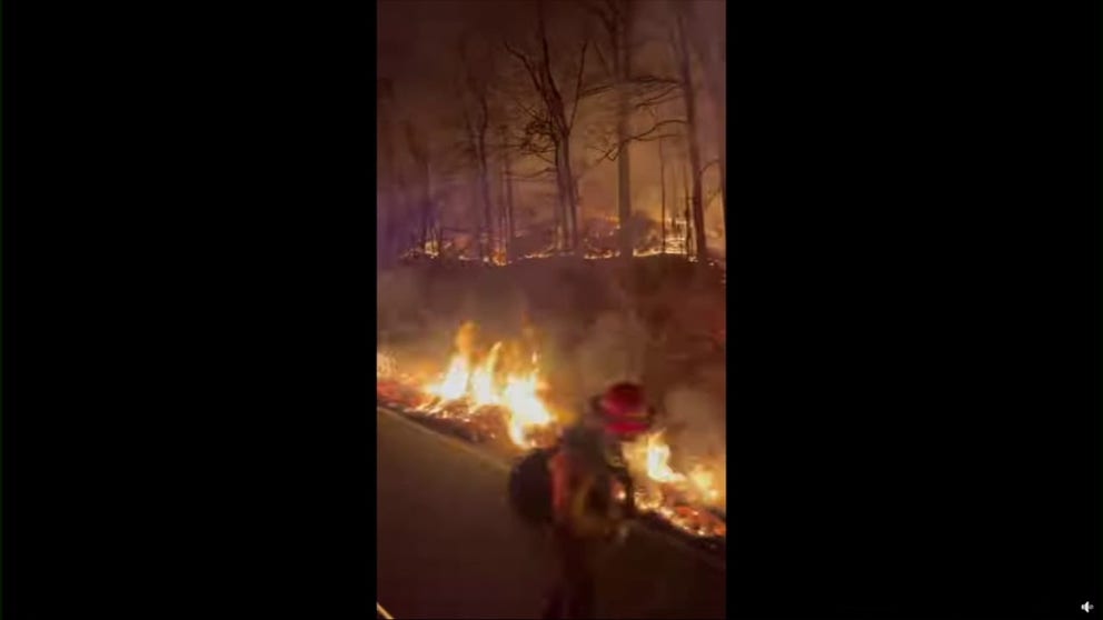 Flames at the height of the Jennings Creek wildfire on Sunday, November 10, 2024 (Paramus Fire Company 2/ Facebook).