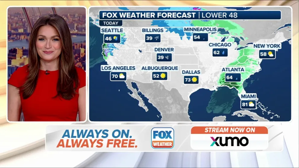 Weather in America: November 19, 2024 | Latest Weather Clips 